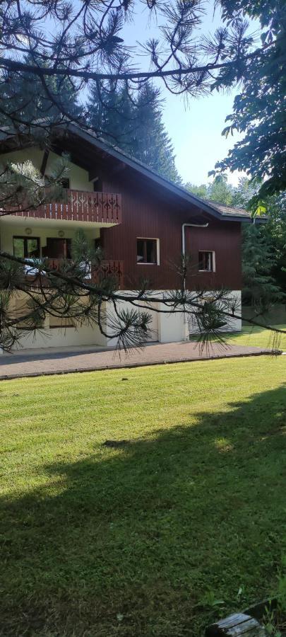 Ferienwohnung Domaine Du Grand Tetras Samoëns Exterior foto
